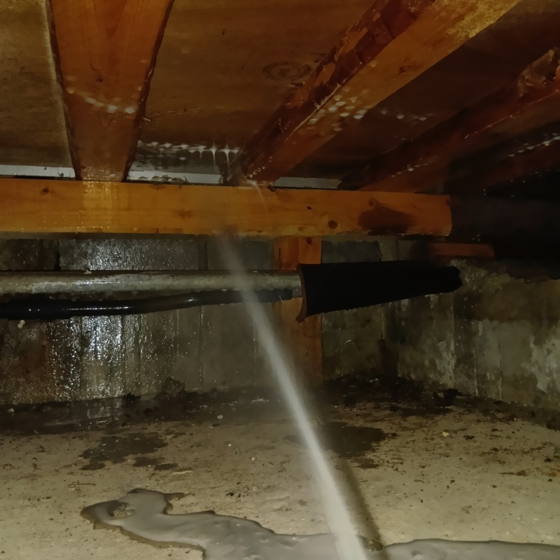 築年数58年のシロアリ駆除の施工事例（愛媛県四国中央市妻鳥町）