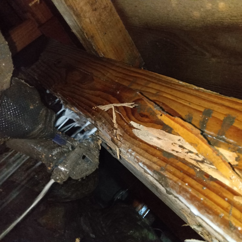 築年数60年のシロアリ駆除の施工事例（山形県尾花沢市二藤袋）