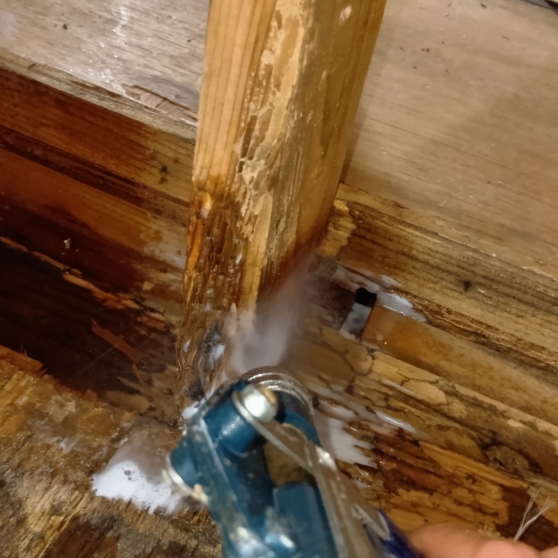 築年数33年のシロアリ駆除の施工事例（兵庫県神戸市北区）