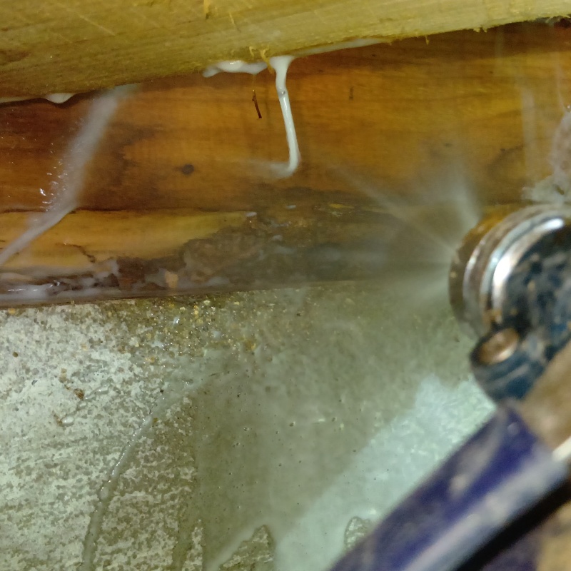 床下木材にシロアリ駆除剤を散布する様子