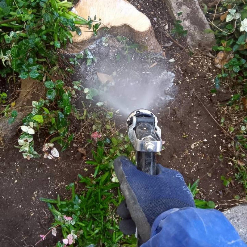 庭の地面にシロアリ駆除剤を散布