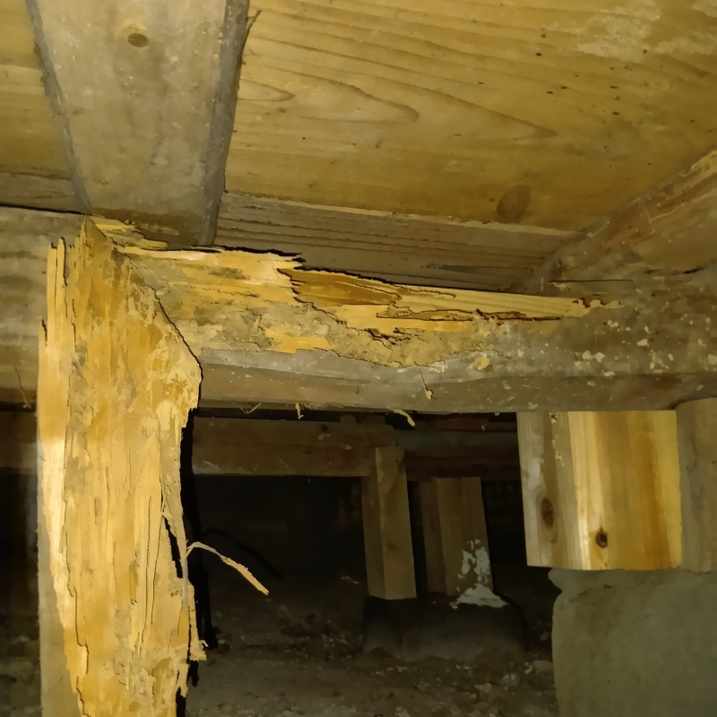 築年数100年のシロアリ駆除の施工事例（香川県東かがわ市引田）