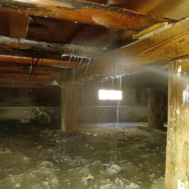 築年数50年のシロアリ駆除の施工事例（徳島県徳島市富田橋）