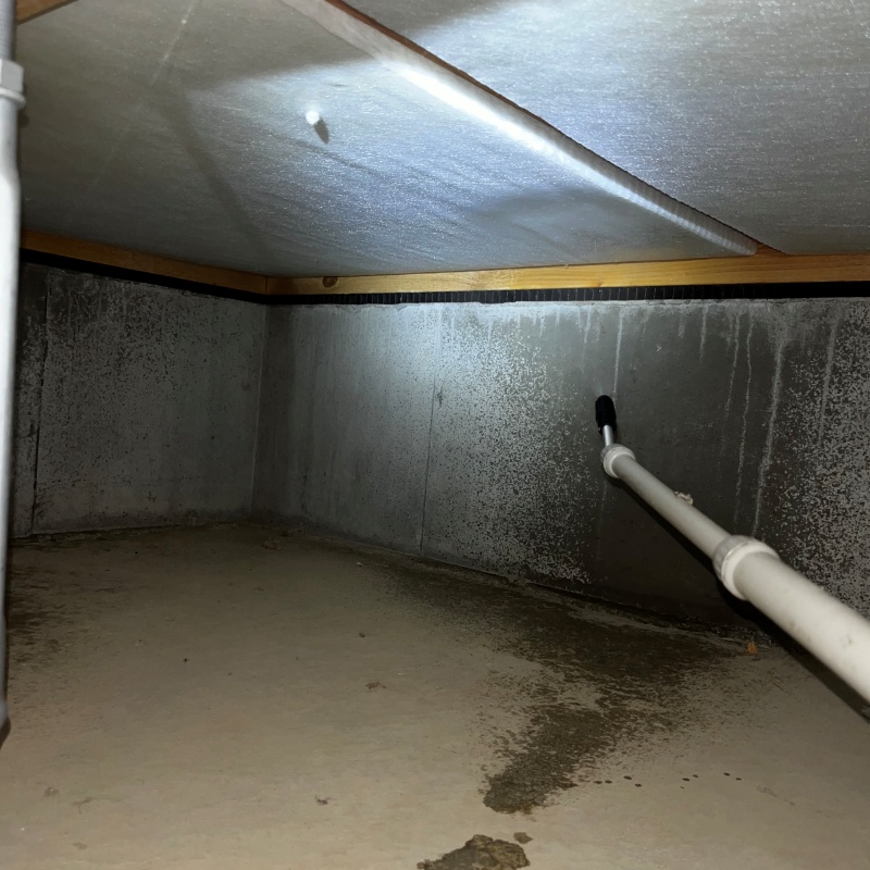 築年数5年のシロアリ予防の施工事例（埼玉県さいたま市西区西大宮）