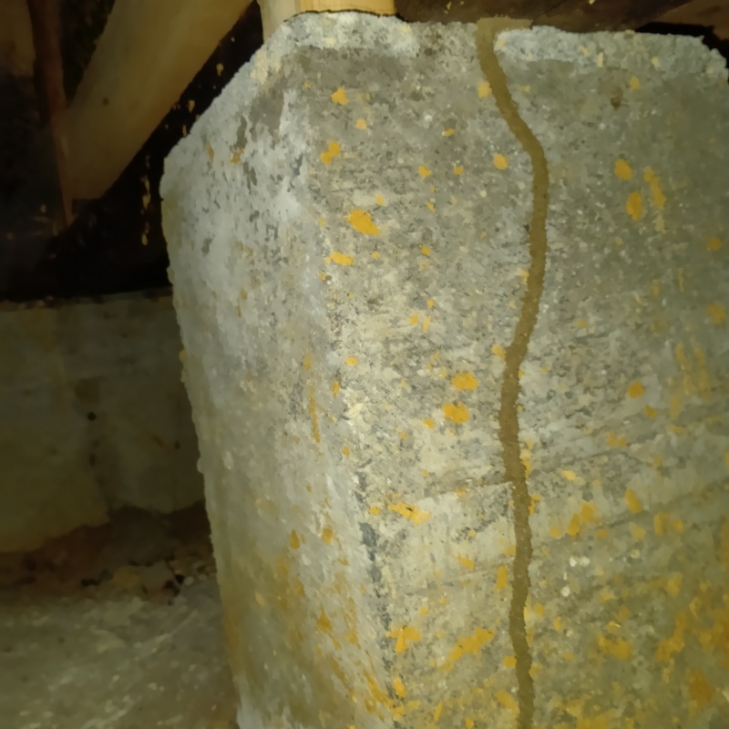 シロアリ駆除の施工事例（徳島県吉野川市山川町東麦原）