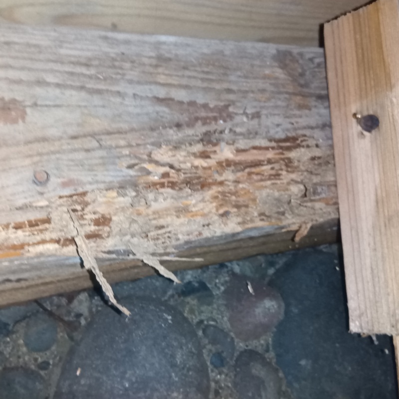 築年数70年のシロアリ駆除の施工事例（福岡県朝倉市甘木）