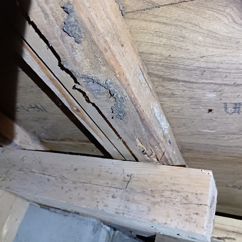 築年数35年のシロアリ駆除の施工事例（茨城県土浦市藤沢）