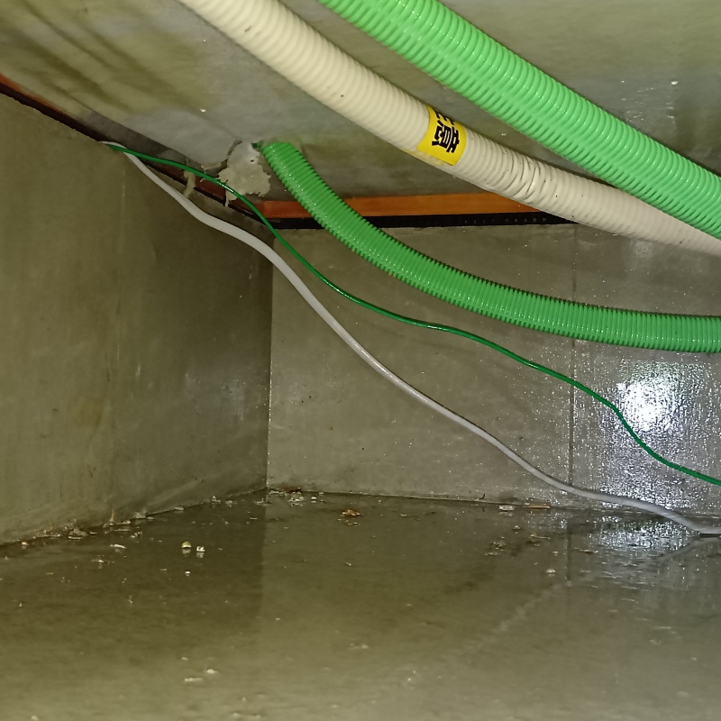 土壌処理が完了した様子