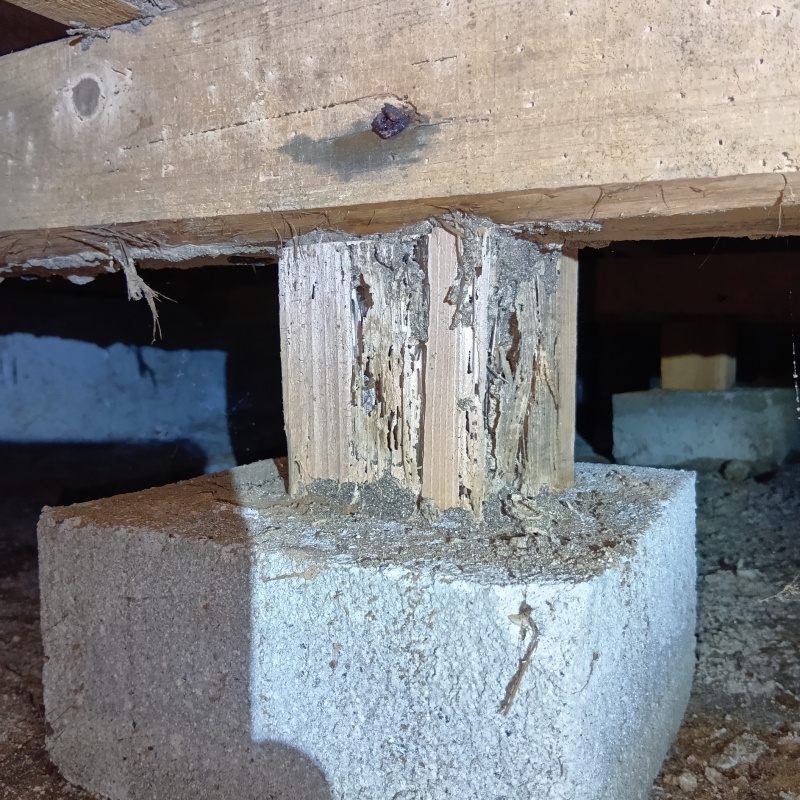 築年数40年のシロアリ駆除の施工事例（大阪府藤井寺市藤井寺）