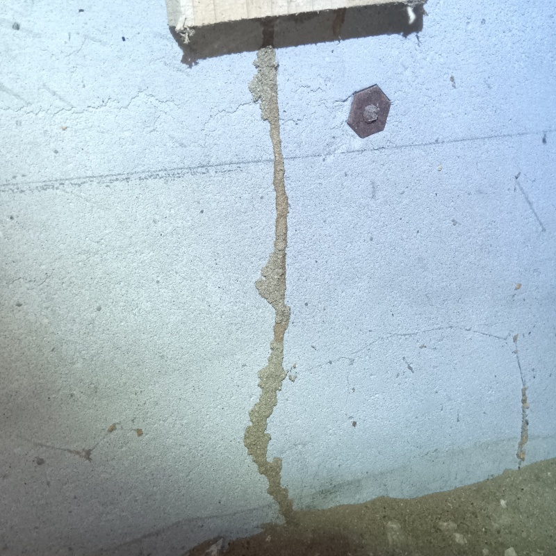 築年数45年のシロアリ駆除の施工事例（宮城県仙台市泉区松森）