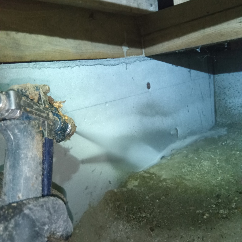 床下の土壌にシロアリ駆除剤を散布