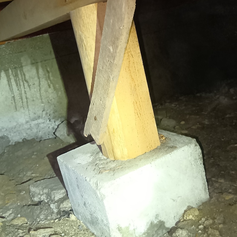 築年数45年のシロアリ駆除の施工事例（大阪府豊中市庄内幸町）