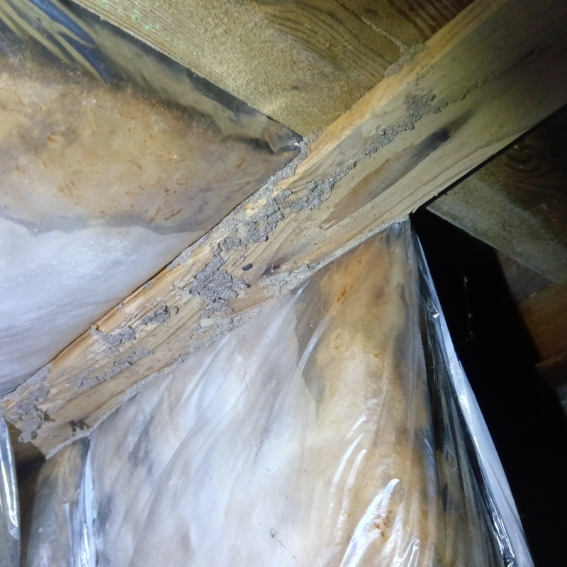 築年数30年のシロアリ駆除の施工事例（新潟県小千谷市土川）