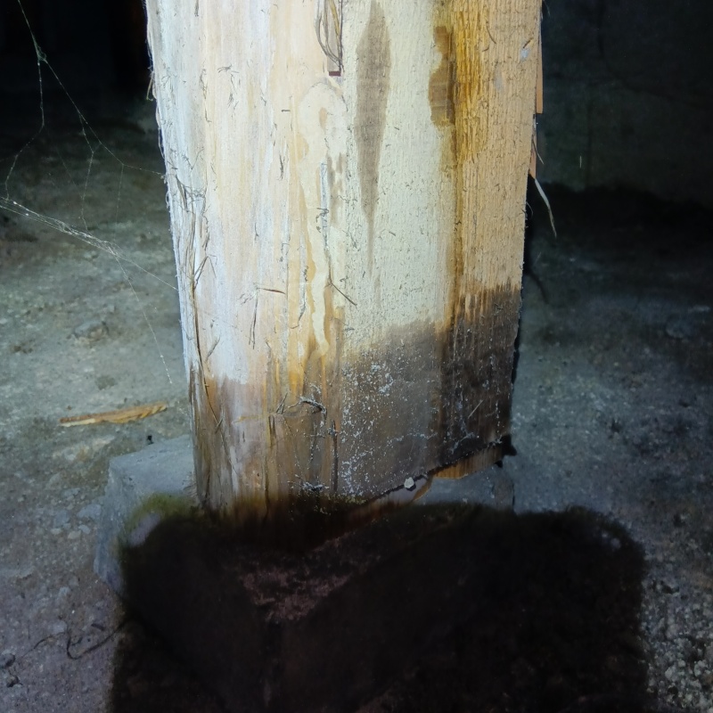 築年数40年のシロアリ駆除の施工事例（滋賀県甲賀市）