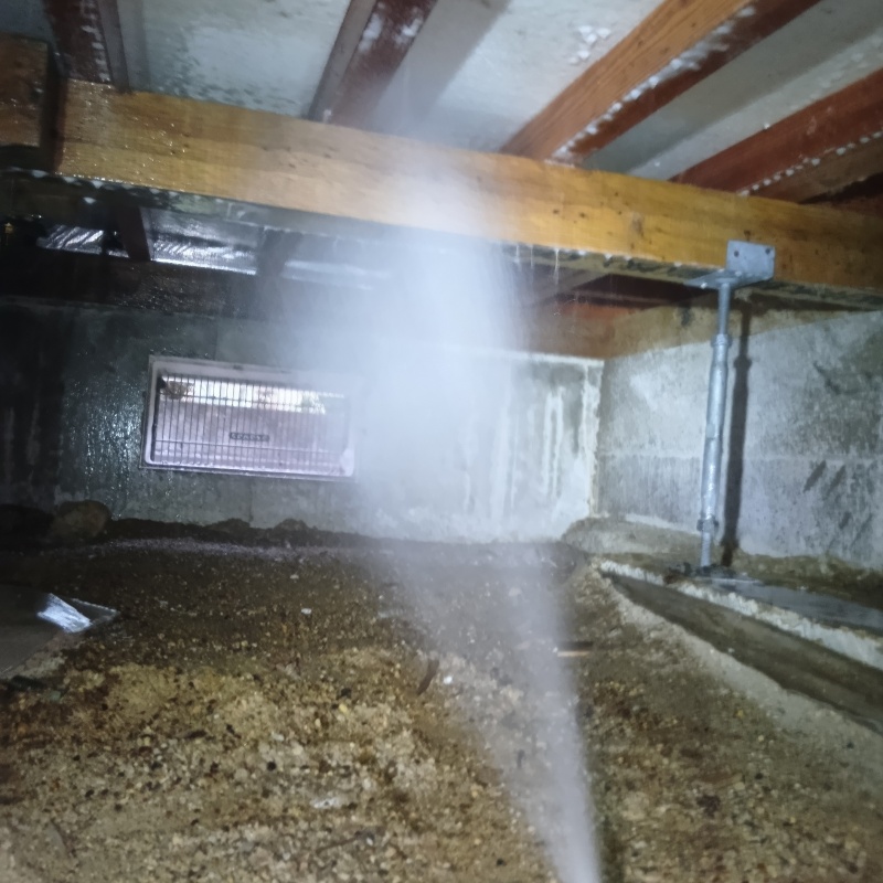 床下木材に防蟻剤を散布する様子