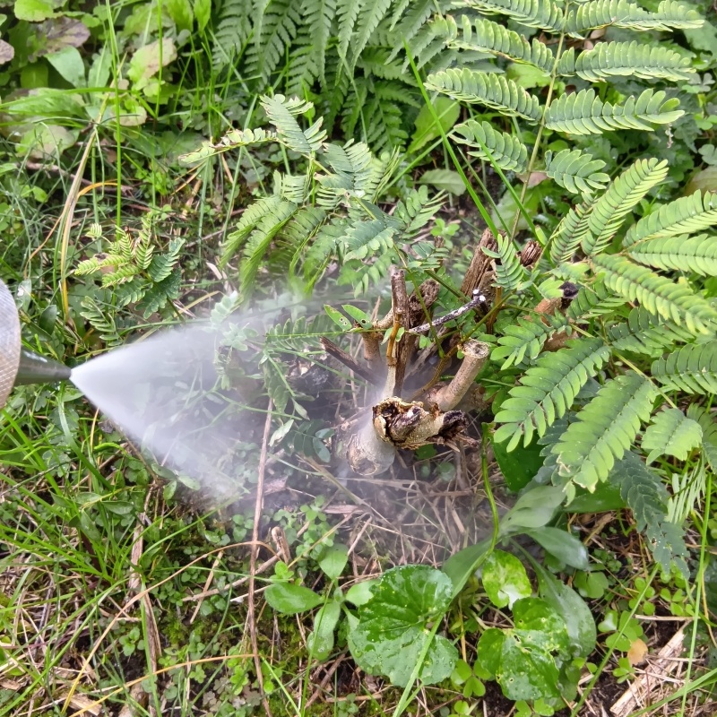建物外周の土壌に防蟻剤を散布