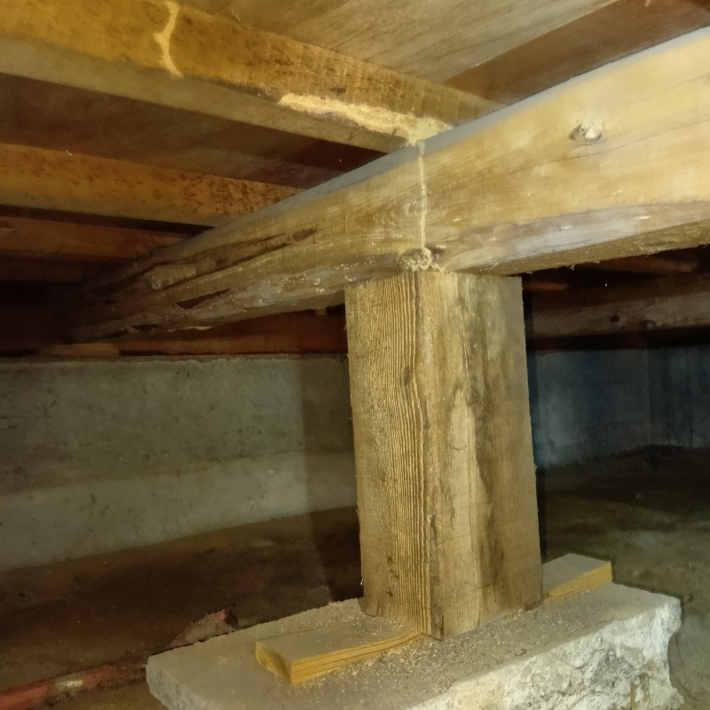 床下木材に作られた蟻道