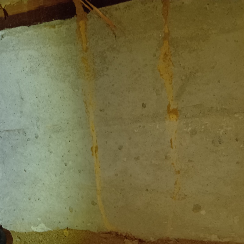 床下の基礎部分に作られた蟻道