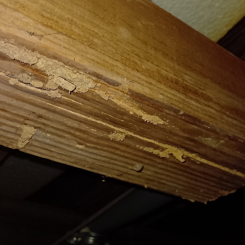 築年数40年のシロアリ駆除の施工事例（兵庫県神戸市西区桜が丘東町）