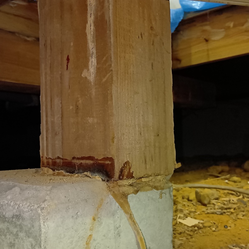 床下の基礎部分に作られた蟻道