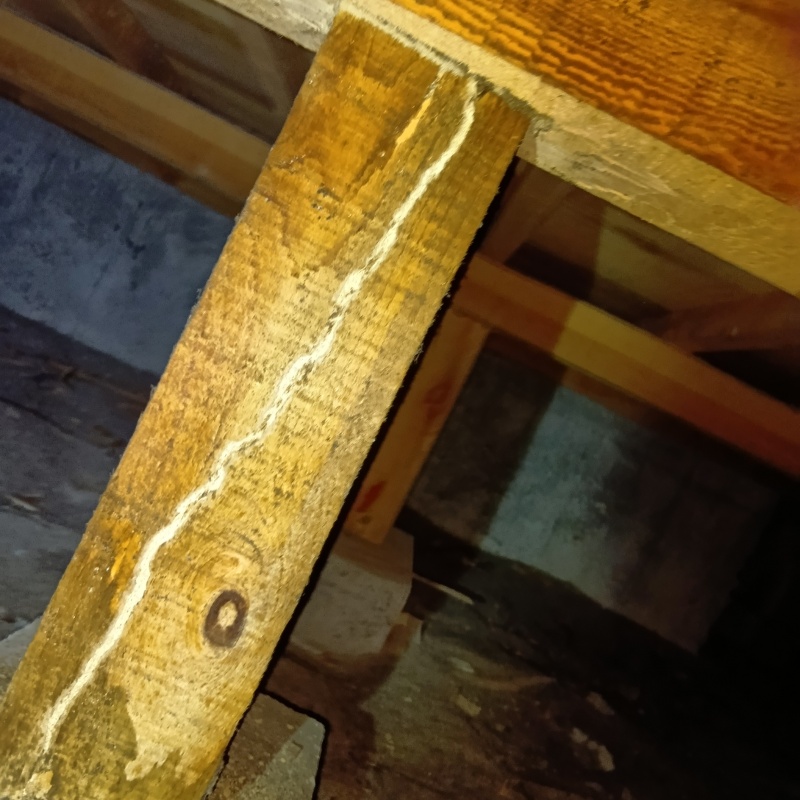 築年数40年のシロアリ駆除の施工事例（富山県富山市蓮町）