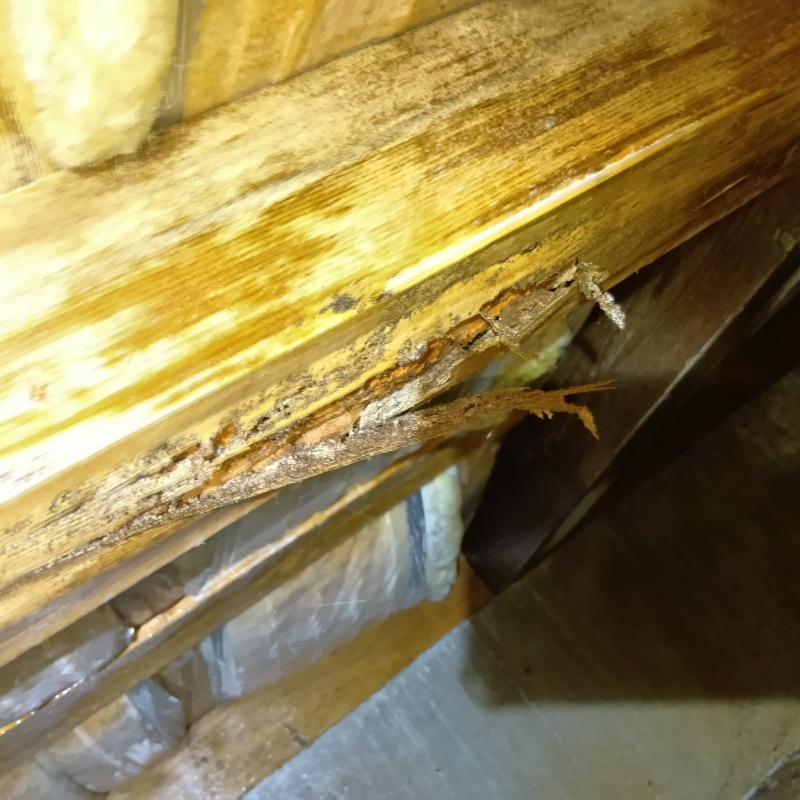 築年数30年のシロアリ駆除の施工事例（茨城県龍ケ崎市下町）