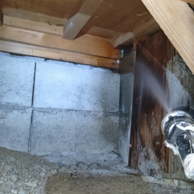 床下木材にシロアリ駆除剤を散布