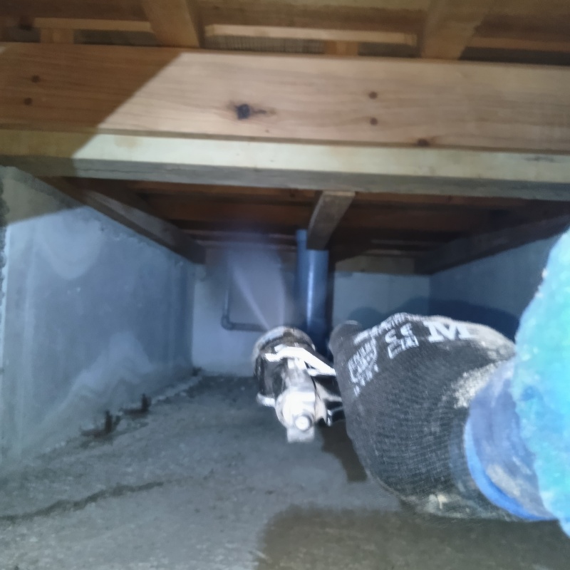 床下木材にシロアリ駆除剤を吹きつける様子