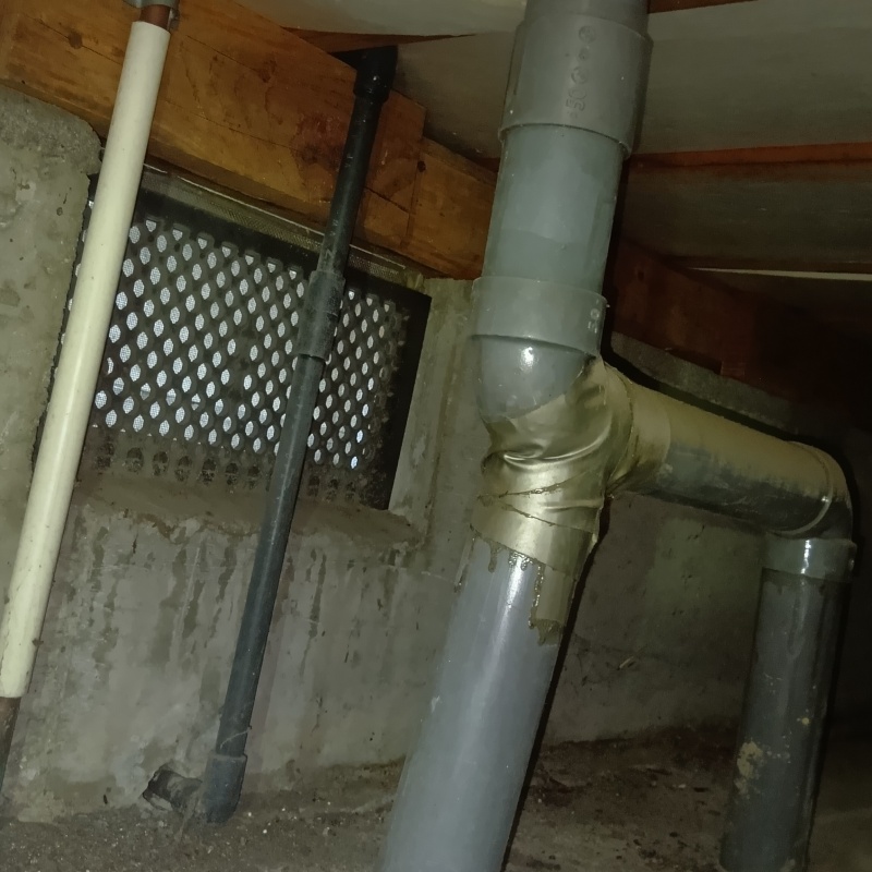 シロアリ駆除の施工事例（大阪府和泉市池上町）