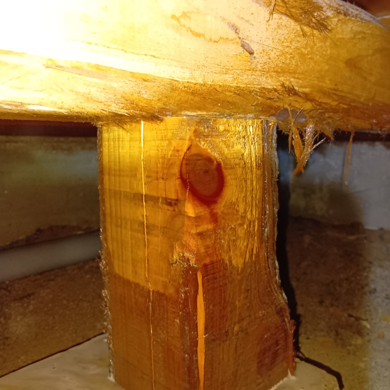 築年数50年のシロアリ駆除の施工事例（福井県越前市押田）