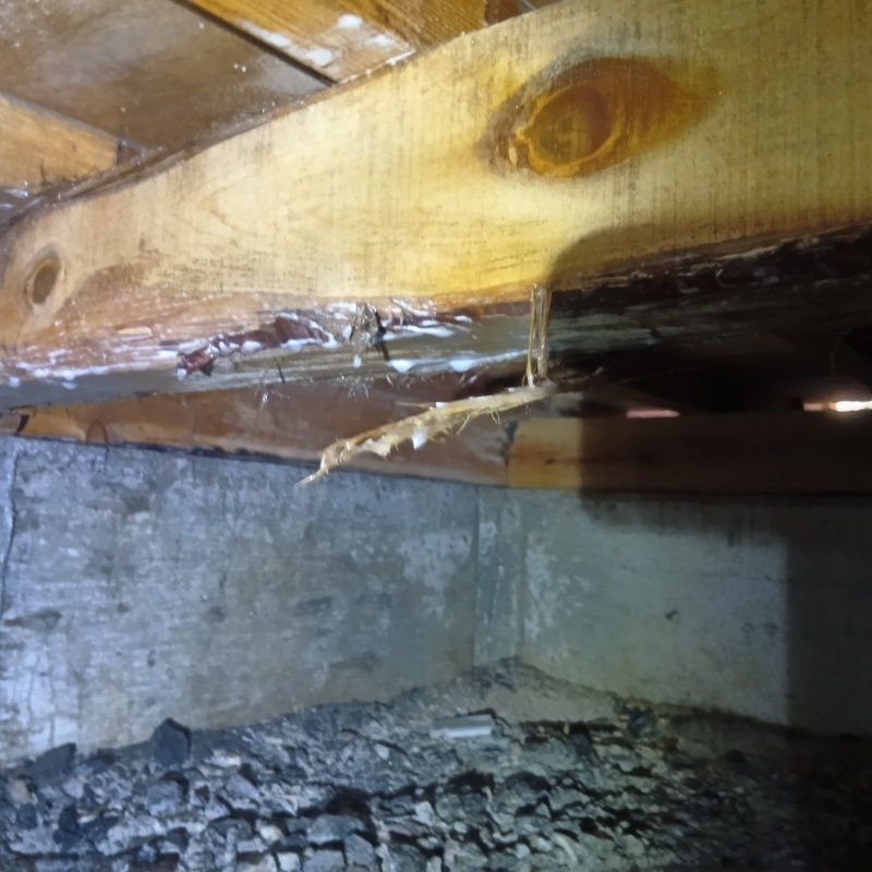 床下木材にシロアリ駆除剤を散布