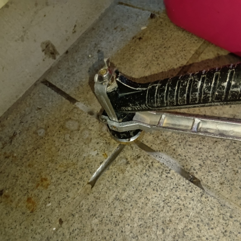 玄関床のタイルの目地からシロアリ駆除剤を注入