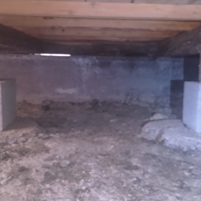 シロアリ駆除の施工事例（熊本県八代市永碇町）