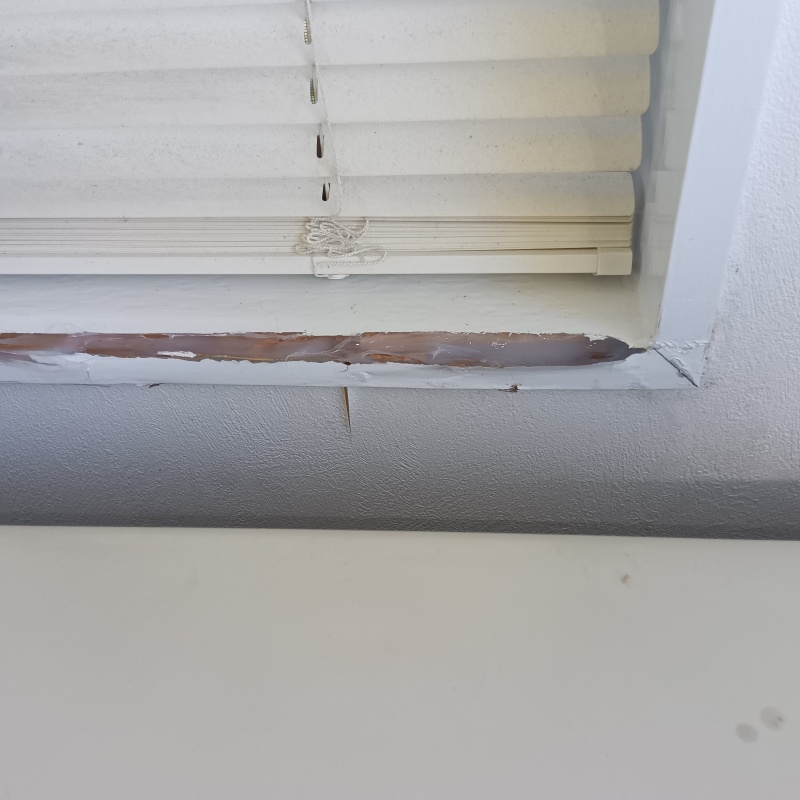 シロアリ駆除の施工事例（愛知県豊橋市）