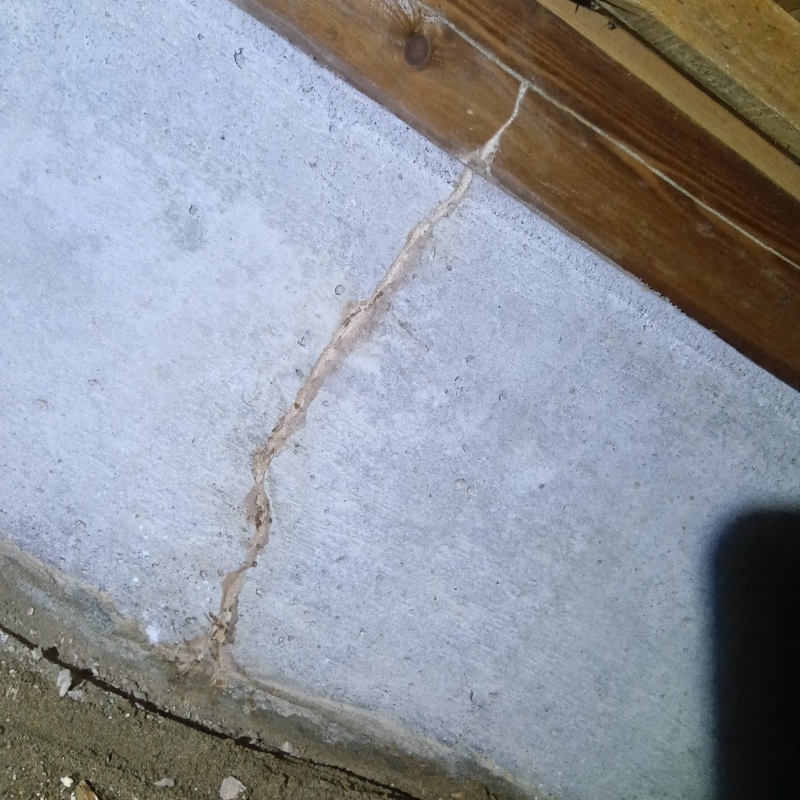 築年数40年のシロアリ駆除の施工事例（新潟県三条市）