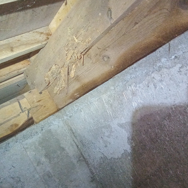 築年数40年のシロアリ駆除の施工事例（茨城県東茨城郡茨城町下石崎）