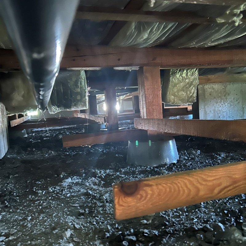 床下木材にシロアリ駆除剤を散布したあとの様子