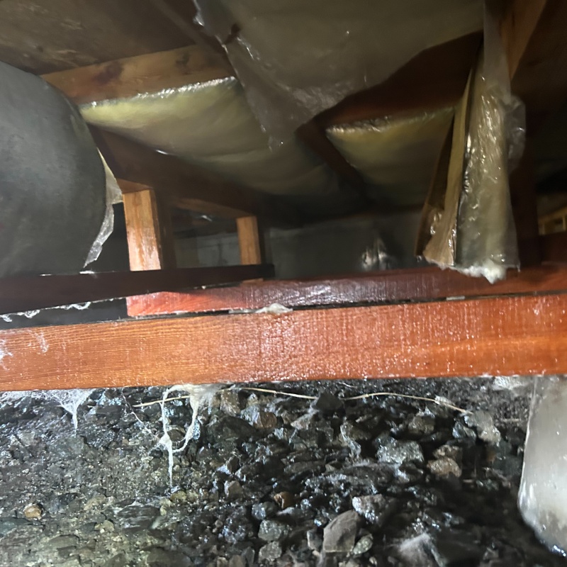 床下木材にシロアリ駆除剤をまんべんなく散布
