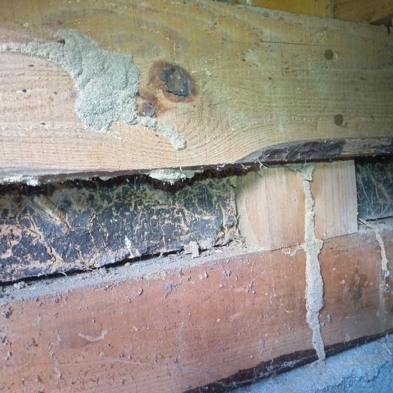 シロアリ駆除の施工事例（三重県員弁郡東員町南大社）