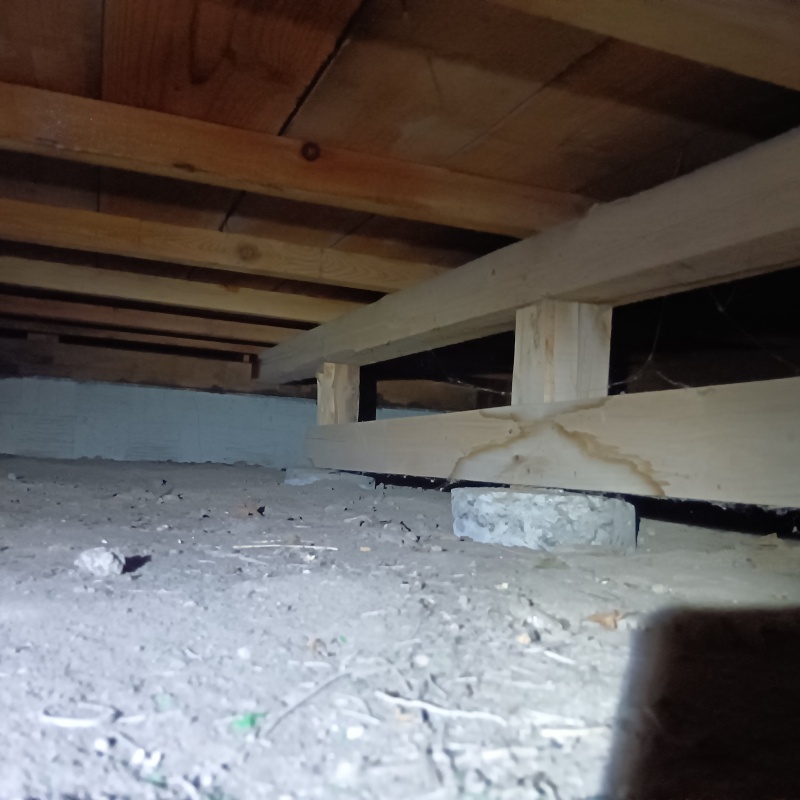 築年数40年のシロアリ駆除の施工事例（群馬県前橋市）