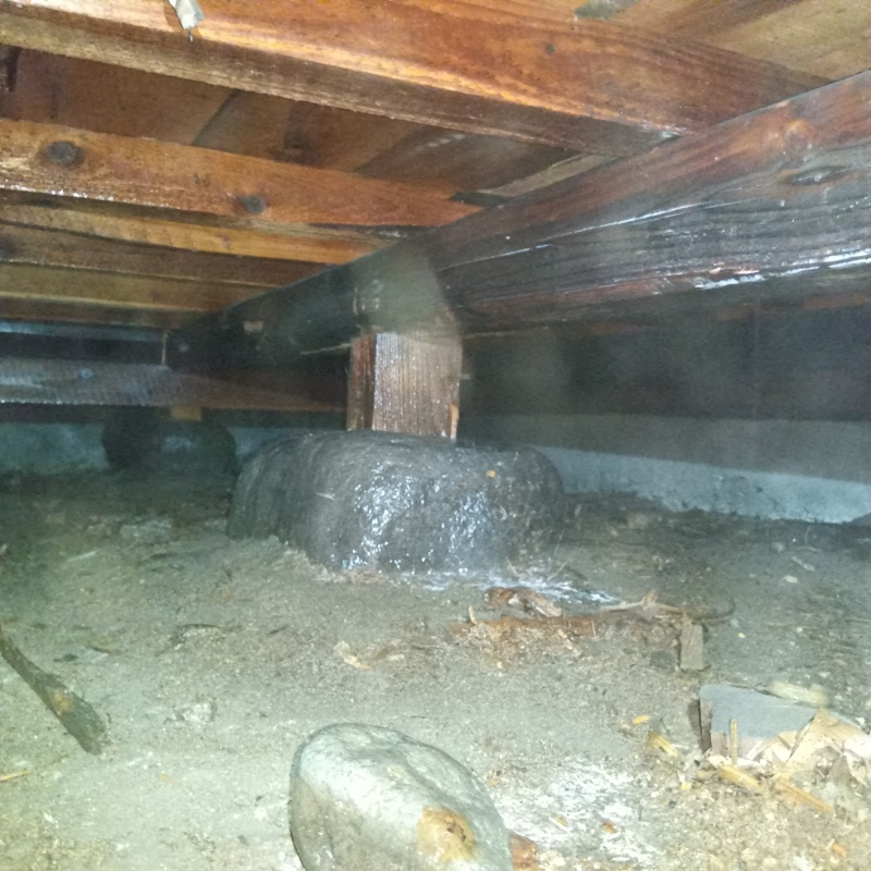 築年数60年のシロアリ駆除の施工事例（山形県山形市鈴川町）