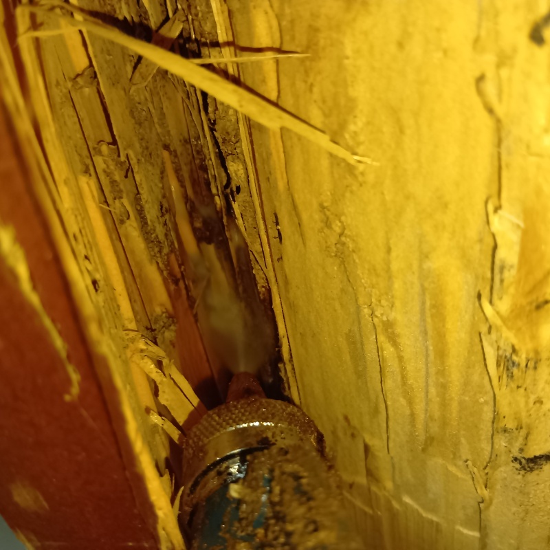 劣化した木材にシロアリ駆除剤を吹きつけている様子