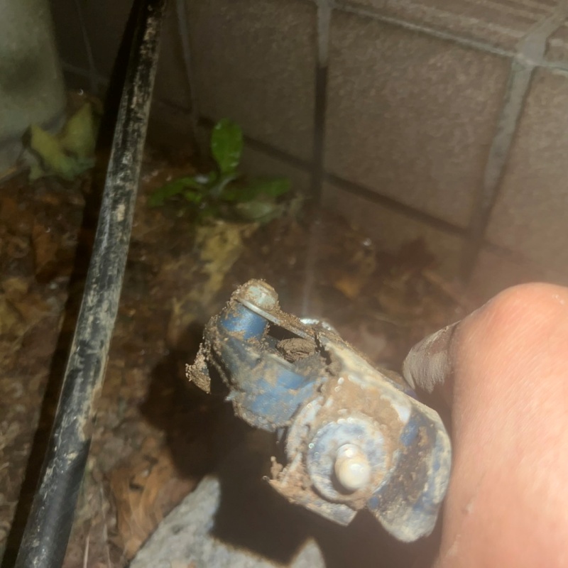 建物外周の土壌にシロアリ駆除剤を散布している様子