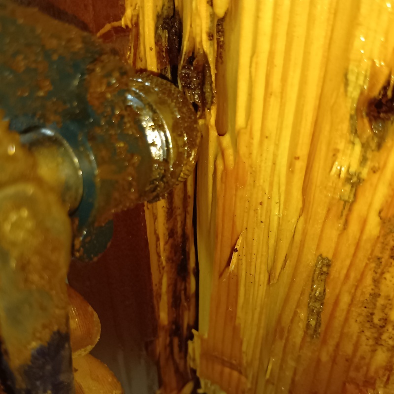 木材の亀裂からシロアリ駆除剤を注入