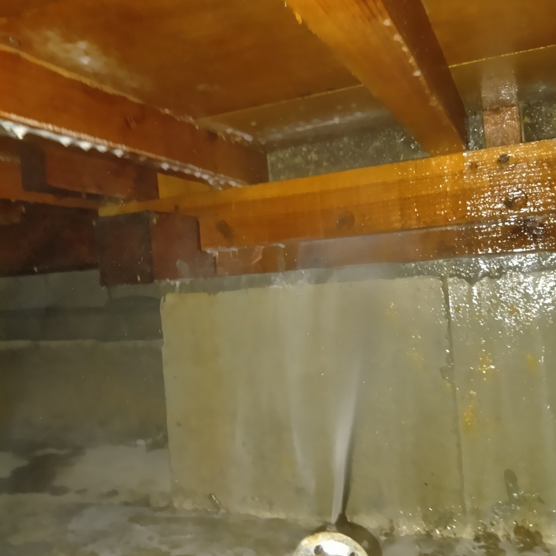 床下基礎のコンクリートにシロアリ駆除剤を吹きつけている様子