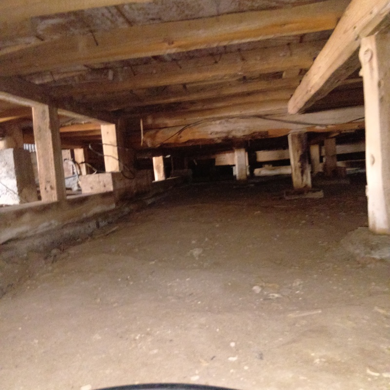 築年数-年のシロアリ駆除の施工事例（静岡県下田市）