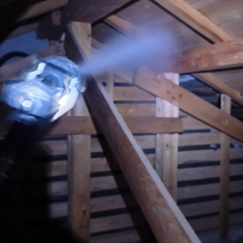 屋根裏の木材にシロアリ駆除剤を散布