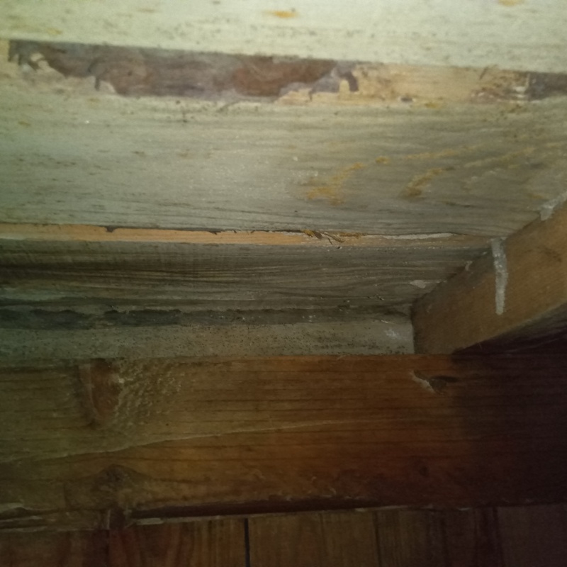 築年数40年のシロアリ駆除の施工事例（福島県石川郡浅川町浅川大明塚）