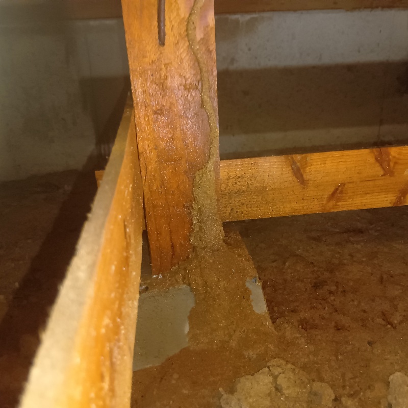 築年数44年のシロアリ駆除の施工事例（福岡県福岡市東区香住ケ丘）
