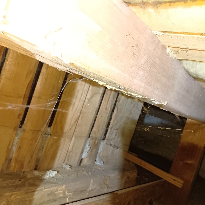 築年数40年のシロアリ駆除の施工事例（茨城県つくば市田中）
